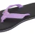 Purple / Black